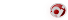 Web Designer